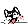 狗狗人生模拟器游戏-狗狗人生模拟器提供下载v1.0手游