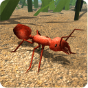 ģiosṩ-Fire Ant SimulatorԽṩv2.0
