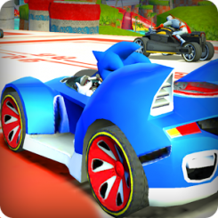 -Sonic Car Racingv1.0
