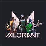 valorant(δ)-valorantԤԼv1.0