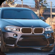 X6M F16 v1.0 Ϸ