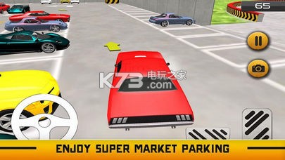ͣϷ-Plaza Car Parking Managerv1.0