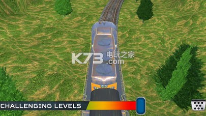 ˾ģϷ-Train Simulator Crazy Driverv1.0