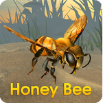 ۷ģios-Honey Bee Simulatorv1.0