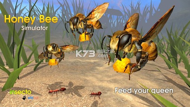 ۷ģios-Honey Bee Simulatorv1.0